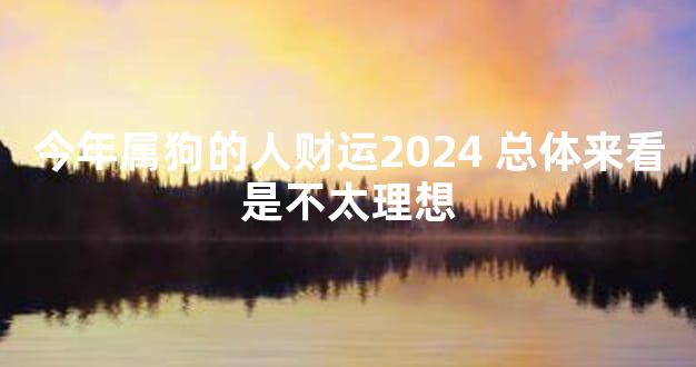 今年属狗的人财运2024 总体来看是不太理想